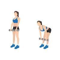 Woman doing Romanian deadlift exercise. Flat vector illustration isolated on white background