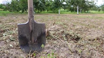 A sharp old farmer's shovel sticks out of the ground in cultivated agricultural fields. Garden village. hard manual work photo