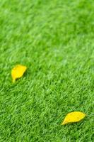 Yellow fall leaf on the artificial grass by shallow depth of field photo