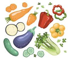 set of vegetables. Healthy vegetarian food. Carrots, cucumbers, eggplants, bell peppers, celery. Vector illustration in cartoon style