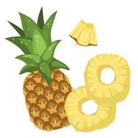 conjunto de piñas. una piña entera, anillos y rebanadas aislados en un fondo blanco. ilustración vectorial de frutas tropicales en estilo de dibujos animados para envases, menús y recetas vector