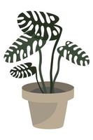 Monstera in a pot. House plant in cartoon style. Vector illustration for packaging, social media and the web