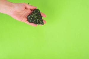 concepto de cuidado ambiental y ecológico. mano que sostiene la hoja verde en forma de corazón sobre fondo verde. copie el espacio foto