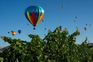 Balloon Festival Over Vineyard