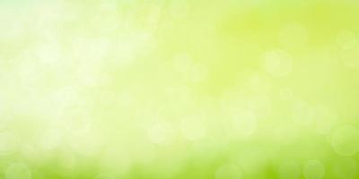 abstract green background with bokeh photo