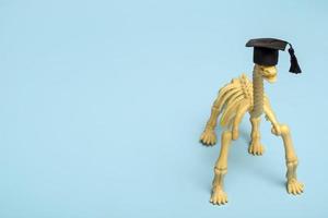 esqueleto de dinosaurio en un sombrero de estudiante sobre un fondo azul. concepto de educación médica, estudio de osteología con primer plano de espacio de copia. foto