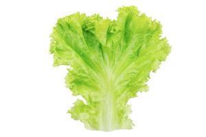 Lettuce. Salad leaf isolated on white background with clipping path photo
