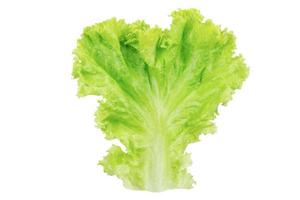 lechuga. hoja de ensalada aislada en fondo blanco con trazado de recorte foto