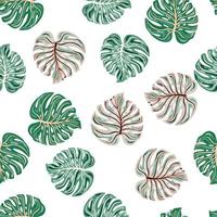 Simple tropical seamless pattern with monstera leaves isolated on white background vector