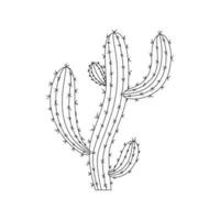 vector de garabato de cactus. plantas de casa de cactus en un estilo de dibujos animados. arte lineal sin relleno. aislado sobre fondo blanco.