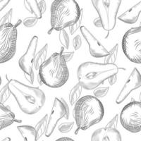 Pears and leaf seamless pattern. Sliced fruit. Hand draw fruit texture. vector