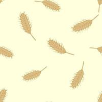 Wheat seamless pattern. Cereal crop sketch. vector