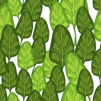 Seamless pattern Spinach salad on white background. Modern ornament with lettuce. vector