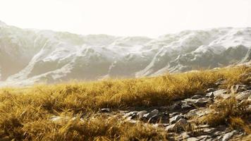 estepe de vale largo com grama amarela sob um céu nublado nas cadeias de montanhas