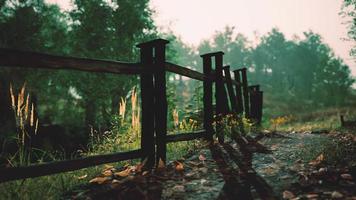 fence in the green forest field under blue sky video