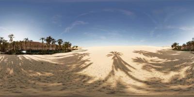 vista vr360 del oasis de palmeras en el desierto video