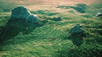 prado alpino con rocas y hierba verde video
