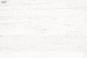 White wood pattern and texture for background. Vector. vector
