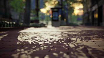 quiet city park with trees and benches video