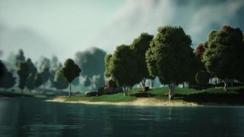 Cartoon Green Forest Landscape with Trees and lake video