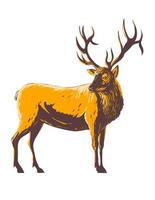 Elk Cervus Canadensis or Wapiti Viewed from Side WPA Poster Art vector