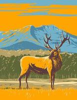 Elk or Wapiti in the Rocky Mountain National Park in Northern Colorado WPA Poster Art vector