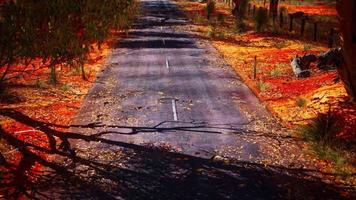 open weg in australië met bush-bomen video