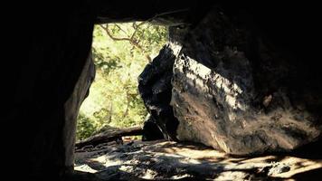 toma tomada desde el interior de una pequeña cueva mirando hacia afuera video