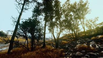 beautiful rocks with few trees at the daylight in Nepal video