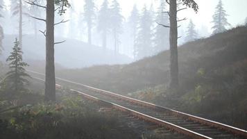 Leere Eisenbahn fährt morgens durch nebligen Wald video