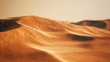 Sand dunes at sunset in Sahara Desert in Morocco