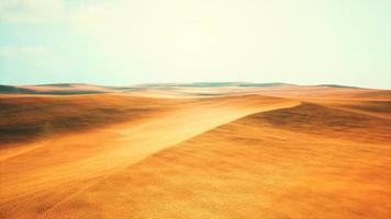 Aerial of red sand dunes in the Namib desert