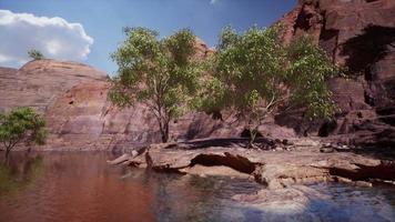 Shining rays of the sun reflected in the cold water of the Colorado River video
