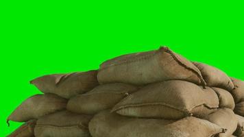 sandbags for flood defense or military use on green chromakey background video