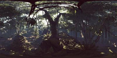 vr360 jungles tropicales profondes d'asie video