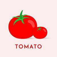 concepto de icono de tomate aislado. ilustración de vector de icono de dibujos animados de tomate. vector de ilustración de tomate dibujado a mano