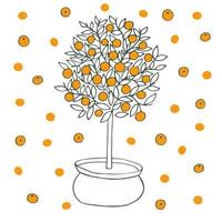 árbol de mandarina, árbol de mandarina, cítricos reticulata, naranja mandarina, robson con frutas vector