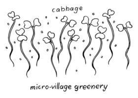 Cabbage vector doodle illustration set