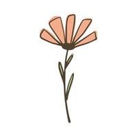 Flower isolated on white background. Abstract botanical sketch pink and green color hand drawn in style doodle. vector