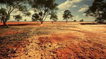 badly cracked earth under a scorching sun photo