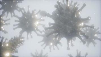 Bacteria virus or germs microorganism cells under microscope with depth photo