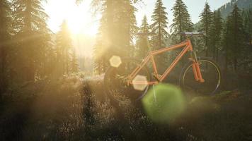 bicycle in mountain forest at sunset photo