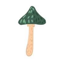 Toadstool isolated on white background. Abstract mushroom sketch hand drawn. vector