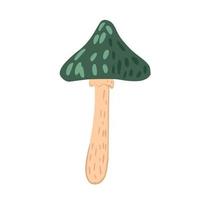 Toadstool isolated on white background. Abstract mushroom sketch hand drawn. vector