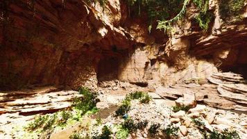 cave in an extinct volcano covered with grass and plants photo