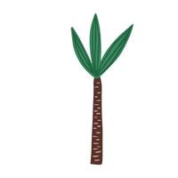 hand drawn palm tree isolated on white background. Doodle exotic rainforest tree. vector