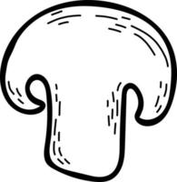 Half champignon mushroom. Vector illustration. Linear hand drawing
