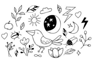 Set of magic signs, beetle and crow, flower and moon with starry sky in handmade linear doodle style. Vector illustration. Isolated elements for design, decor, postcards and print