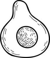 Avocado. Half. Sliced. Vector illustration. Linear hand drawing