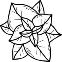 menta. planta. ilustración vectorial dibujo lineal a mano vector